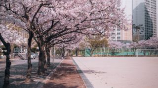 旅立ちの日にのサムネイル